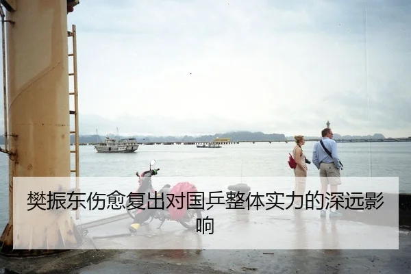 樊振东伤愈复出对国乒整体实力的深远影响